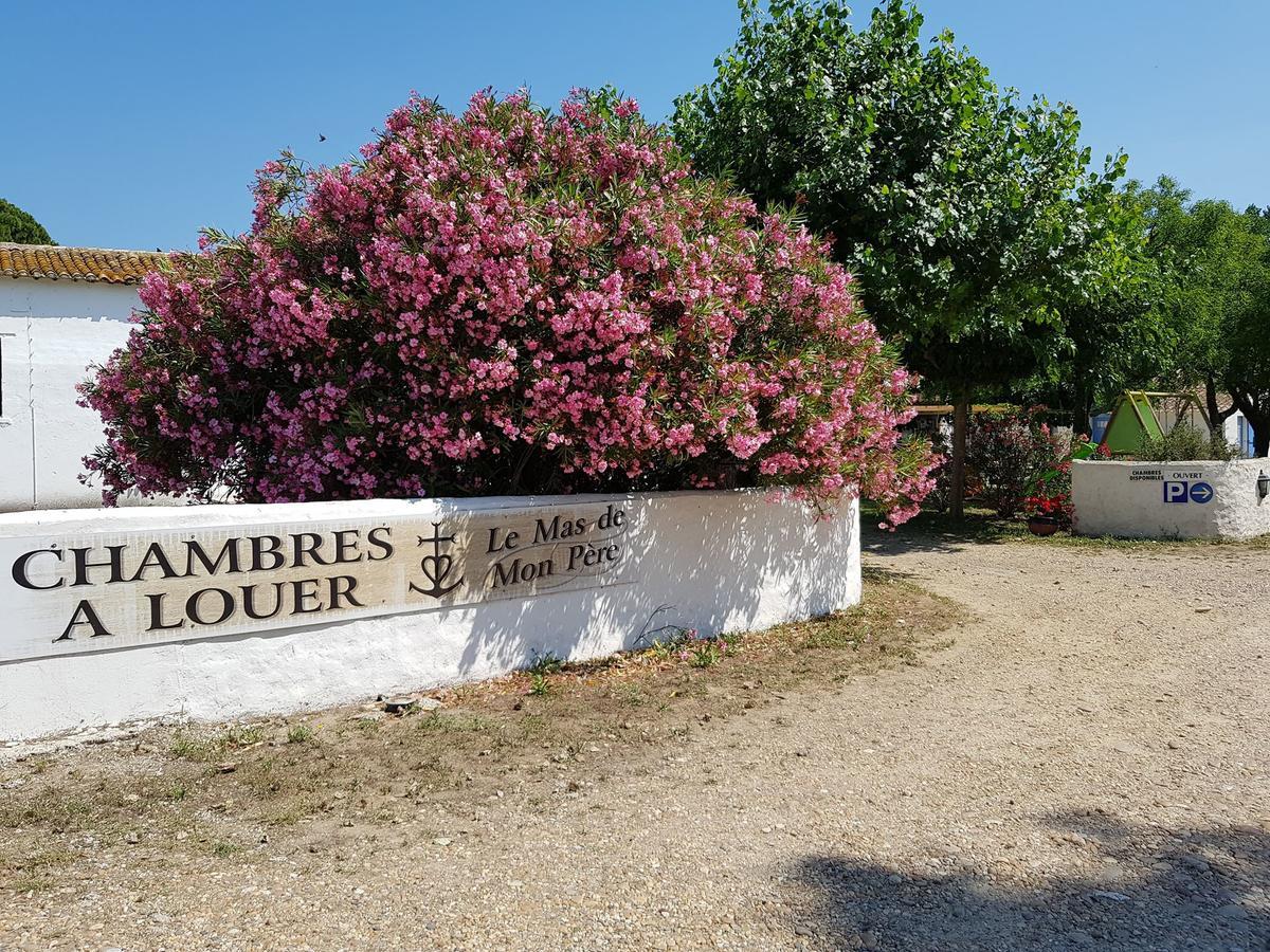 Le Mas De Mon Pere Saintes-Maries-de-la-Mer Exteriér fotografie